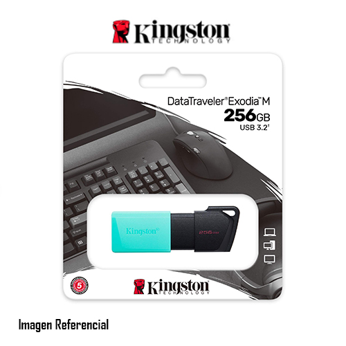 Kingston DataTraveler Exodia M - Unidad flash USB - 256 GB - USB 3.2 Gen 1