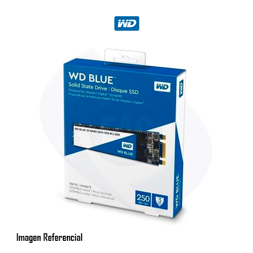 DISCO SOLIDO INTERNO WESTERN DIGITAL BLUE 3D NAND, 250GB,  V.LECTURA550MB/S, M.2 2280 SATA 6.0 GBPS  - P/N: WDS250G2B0B